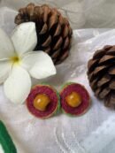 Pallavi Vanya Jute studs